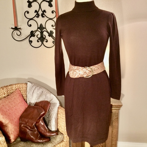 Brown Fitted Sweater Dress - Picture 1 of 8